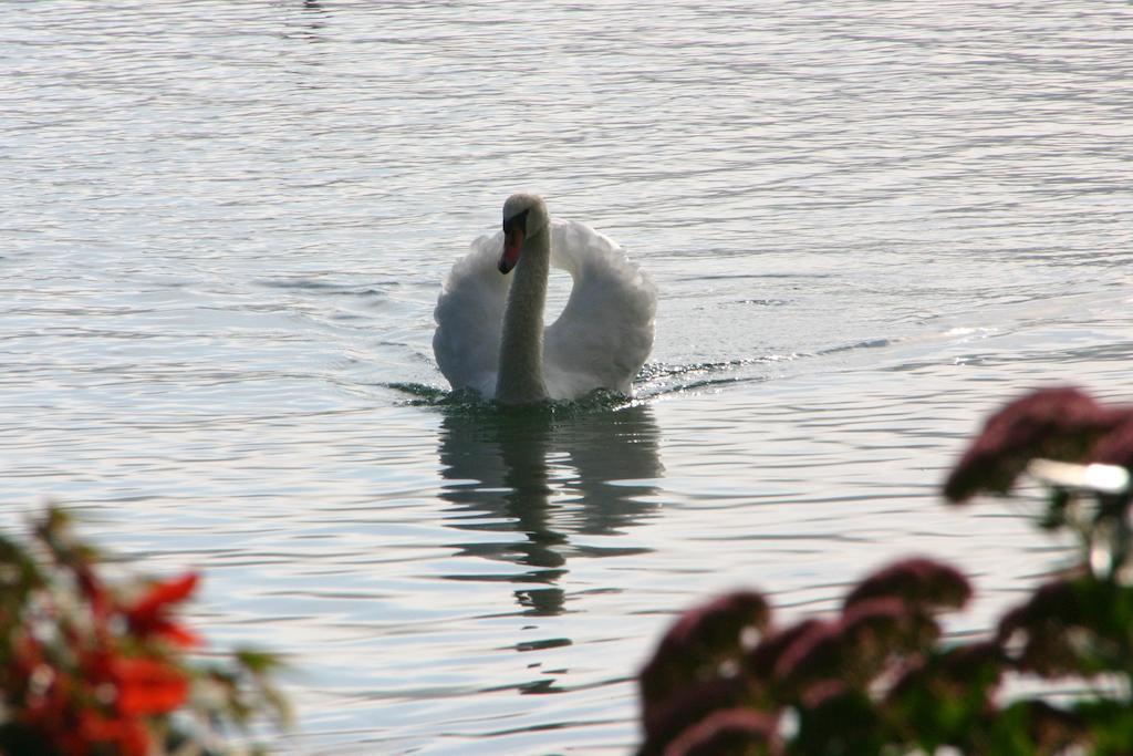 Haus Am See Sankt Kanzian am Klopeiner See Εξωτερικό φωτογραφία